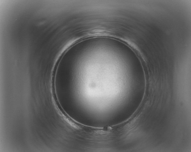 X0000067341333200603311116