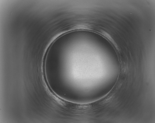 X0000067341339200603311116