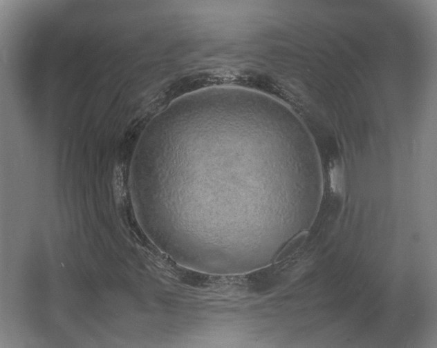 X0000067341347200603311115