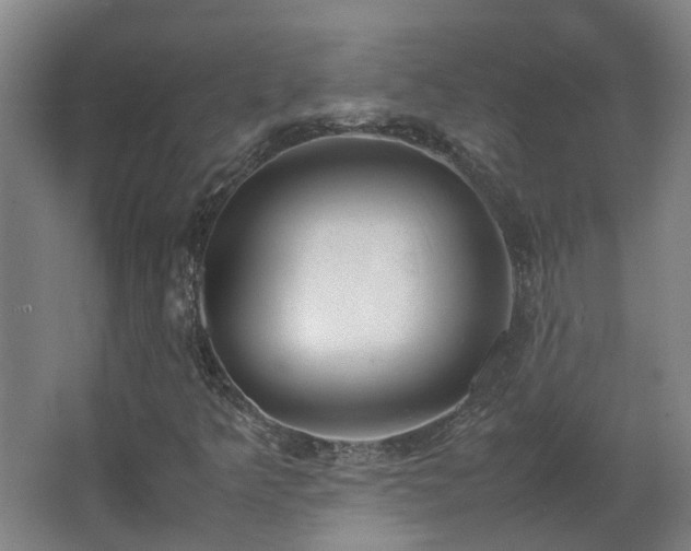 X0000067341349200603311115