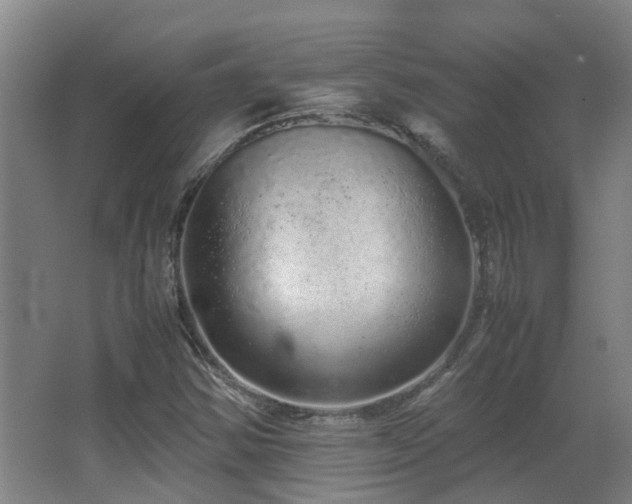 X0000067341354200603311115