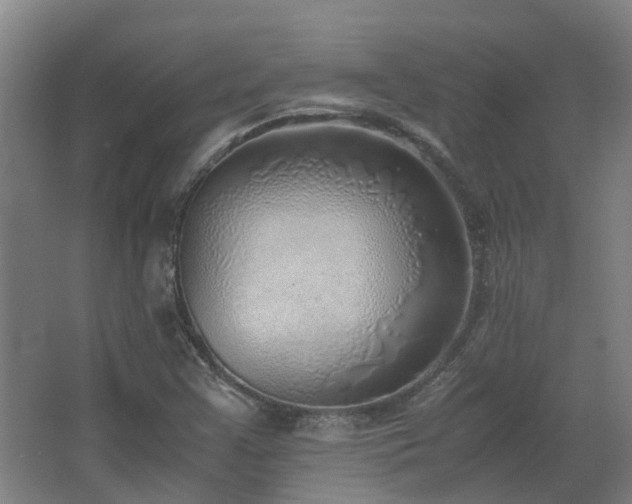 X0000067341355200603311115