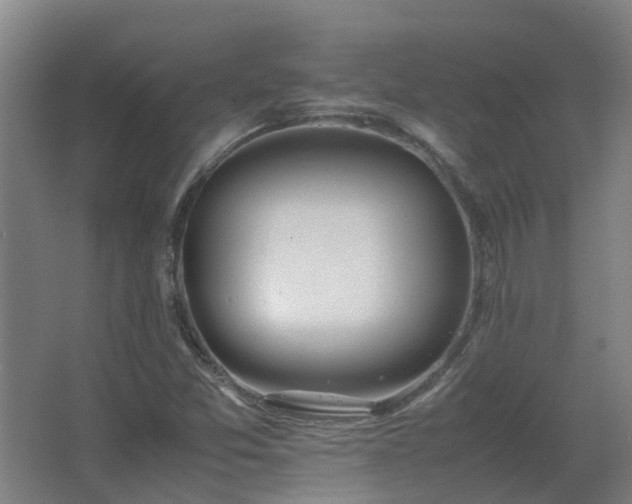 X0000067341357200603311115