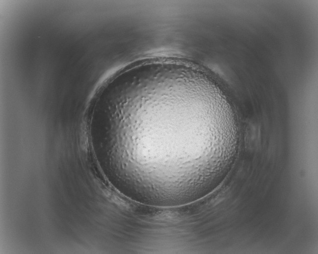 X0000067341358200603311115