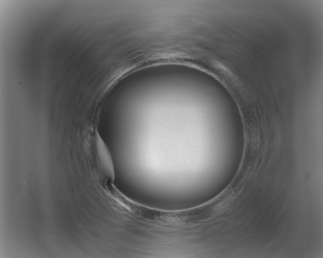 X0000067341361200603311115