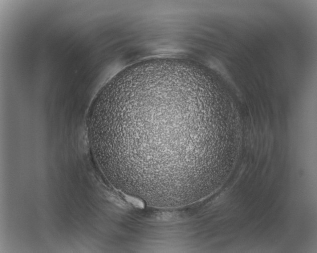 X0000067341362200603311115