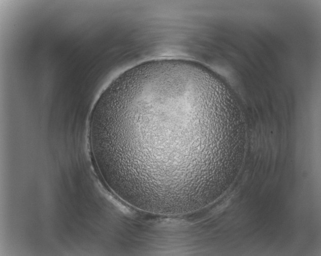 X0000067341374200603311115