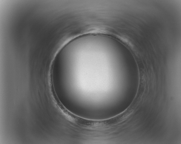 X0000067341375200603311115