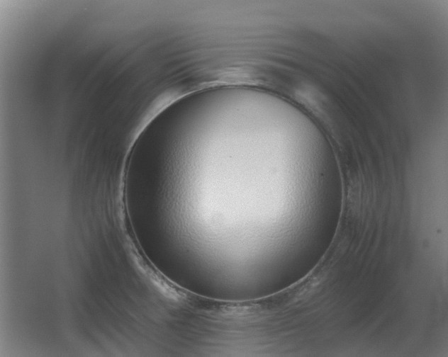 X0000067341378200603311115