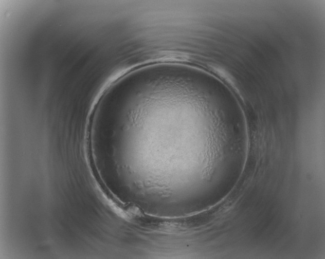 X0000067341379200603311115