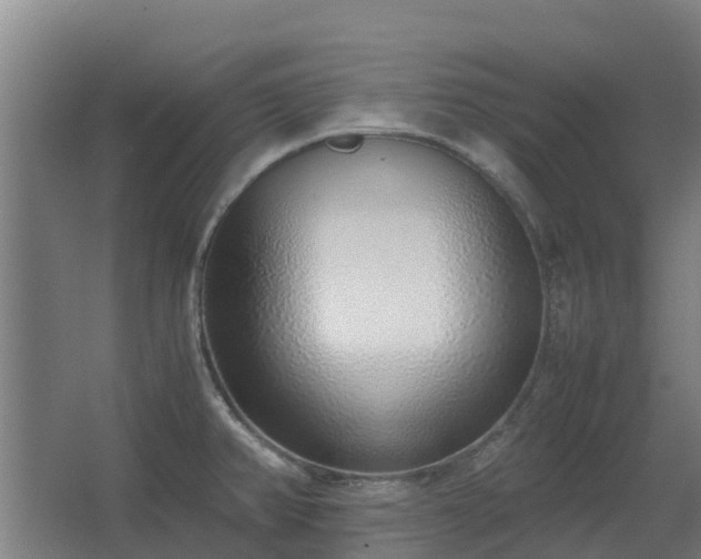X0000067341382200603311115