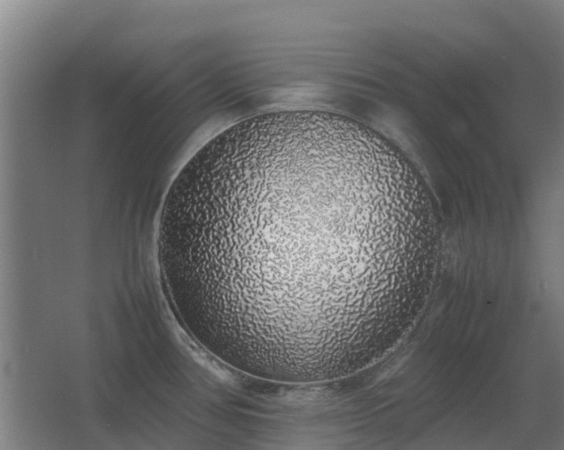 X0000067341386200603311115