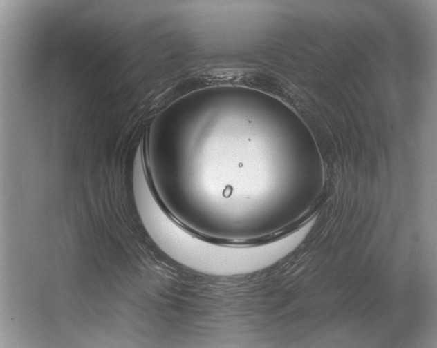 X0000067341394200603311114