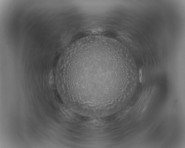 X0000067341395200603311114