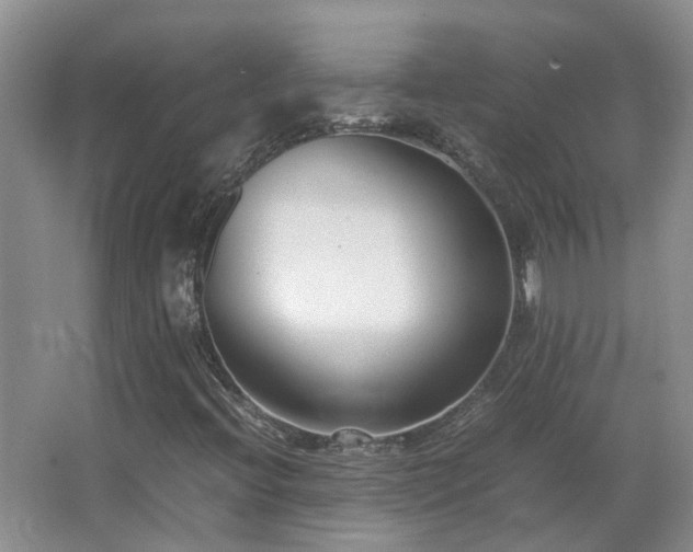 X0000067341396200603311114