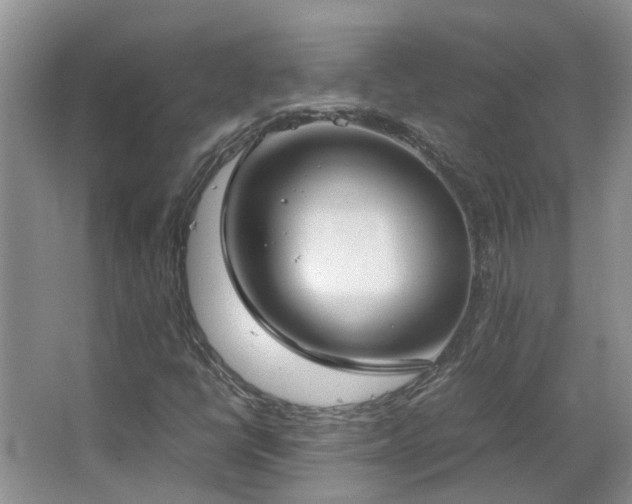 X0000067341398200603311114