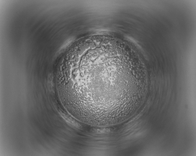 X0000067341403200603311114