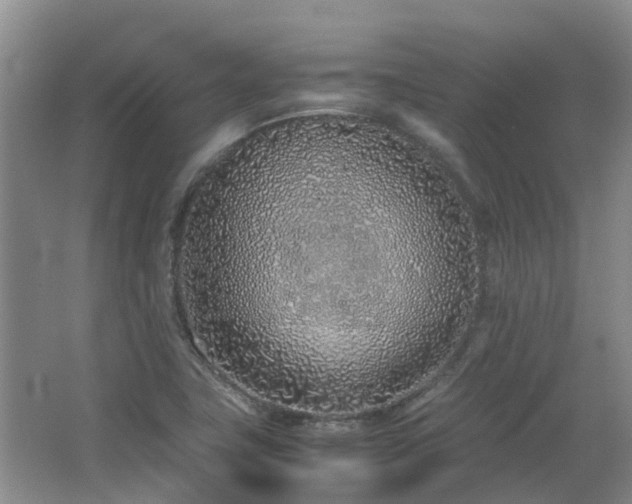 X0000067341411200603311114