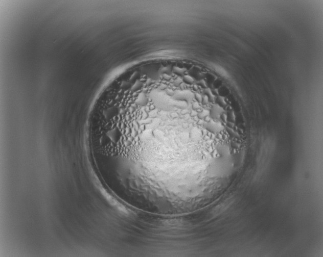 X0000067341421200603311114