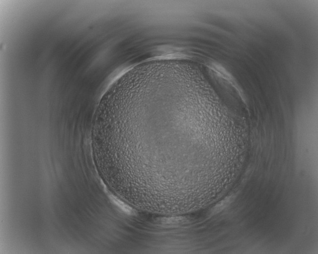 X0000067341425200603311114