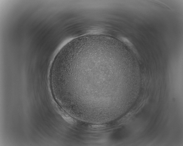 X0000067341427200603311114