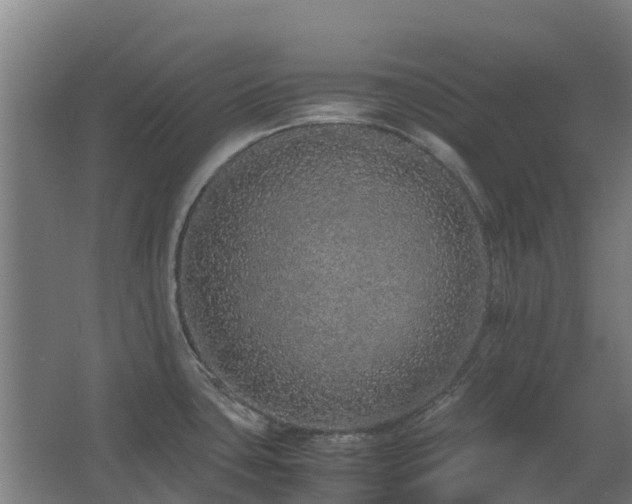 X0000067341435200603311114