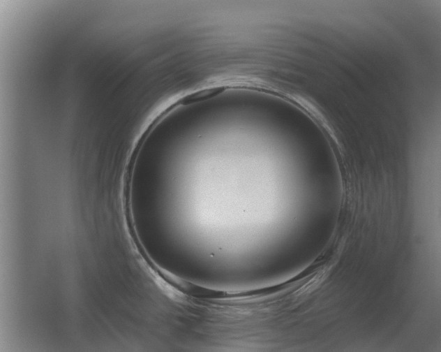 X0000067341438200603311115