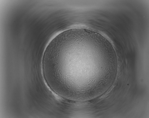 X0000067341440200603311115