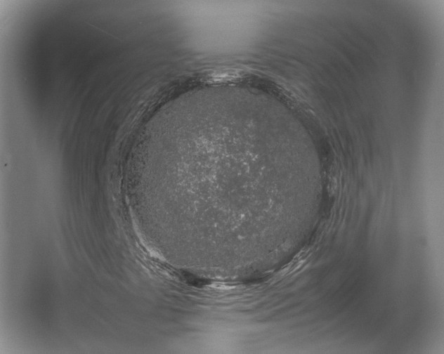 X0000067341441200603311114