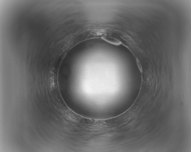 X0000067341442200603311114