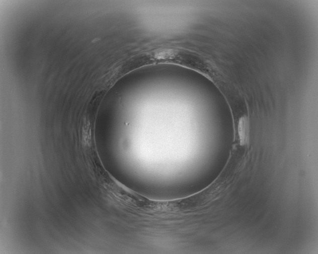 X0000067341443200603311114