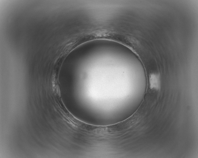 X0000067341444200603311114