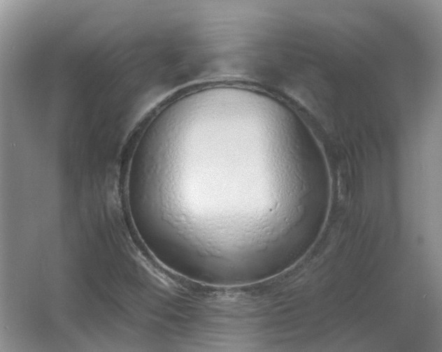 X0000067341452200603311114