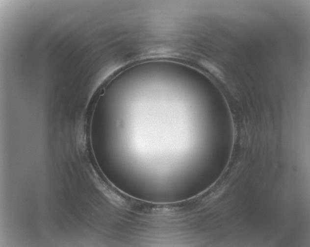 X0000067341458200603311113