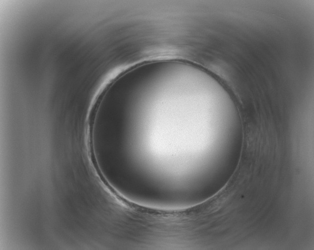 X0000067341472200603311113