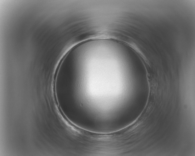 X0000067341484200603311113