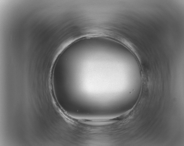 X0000067341485200603311113