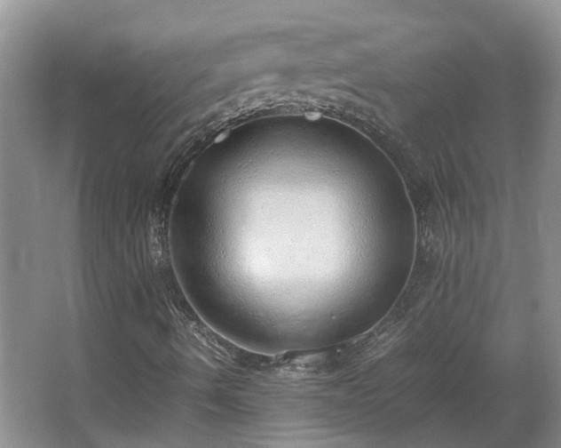 X0000067341490200603311112