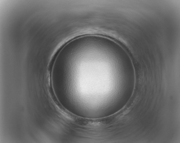 X0000067341509200603311112