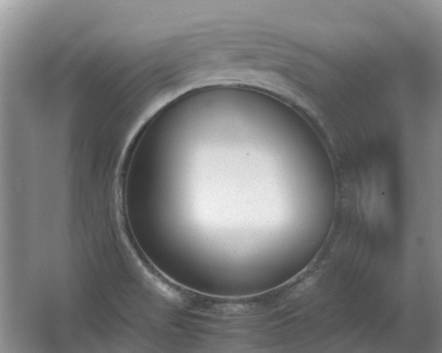X0000067341517200603311113