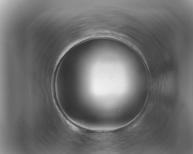 X0000067341533200603311113