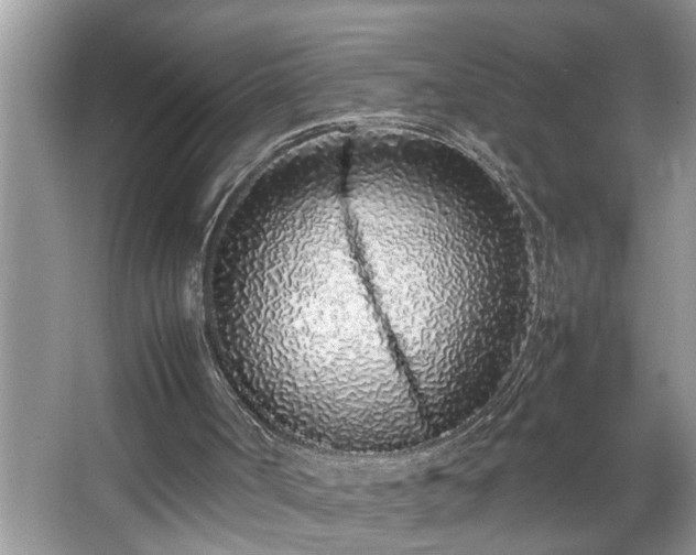X0000067340002200604031011