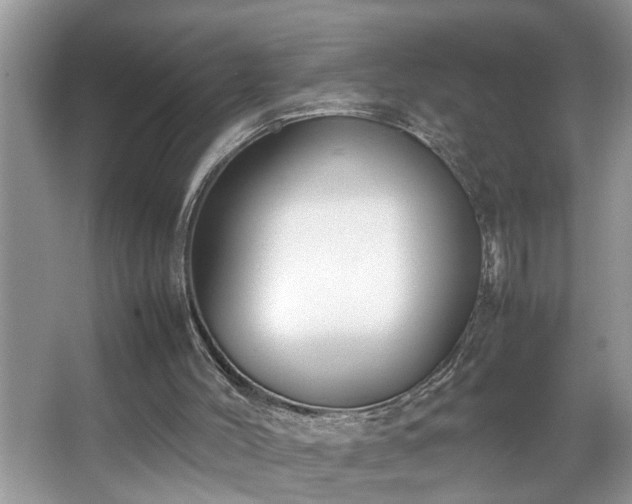 X0000067340004200604031011