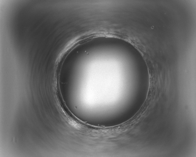 X0000067340005200604031011