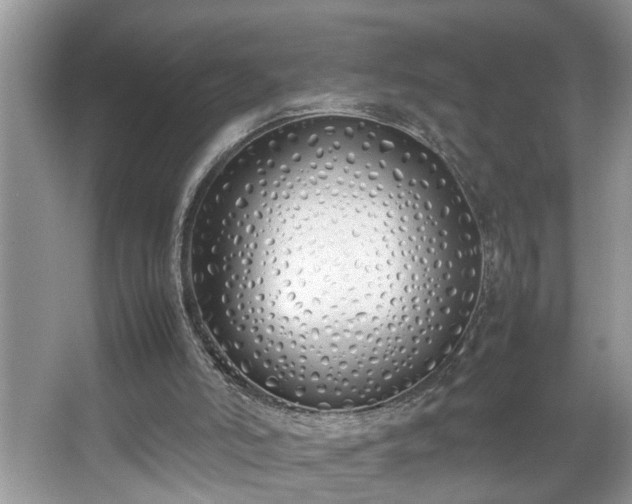 X0000067340006200604031011