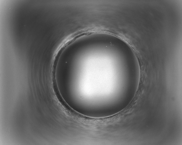 X0000067340007200604031011