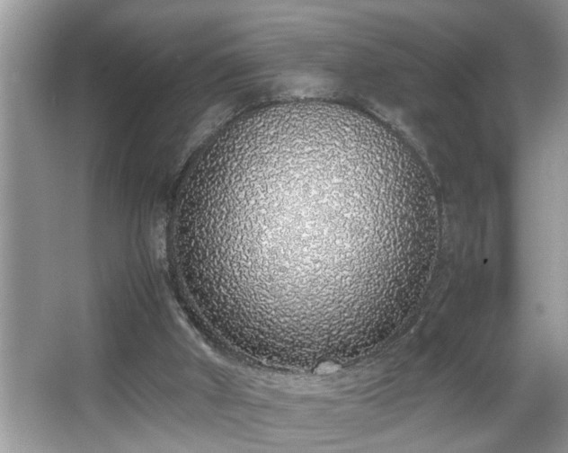 X0000067340010200604031011