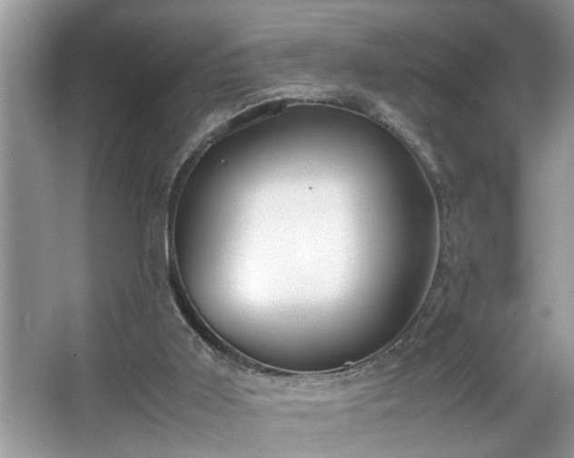 X0000067340011200604031011