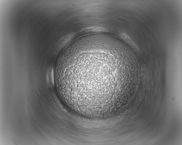 X0000067340014200604031011
