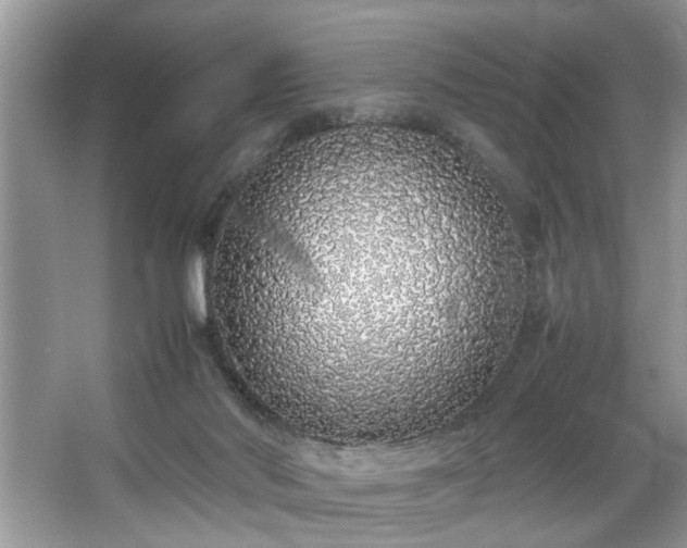 X0000067340022200604031011